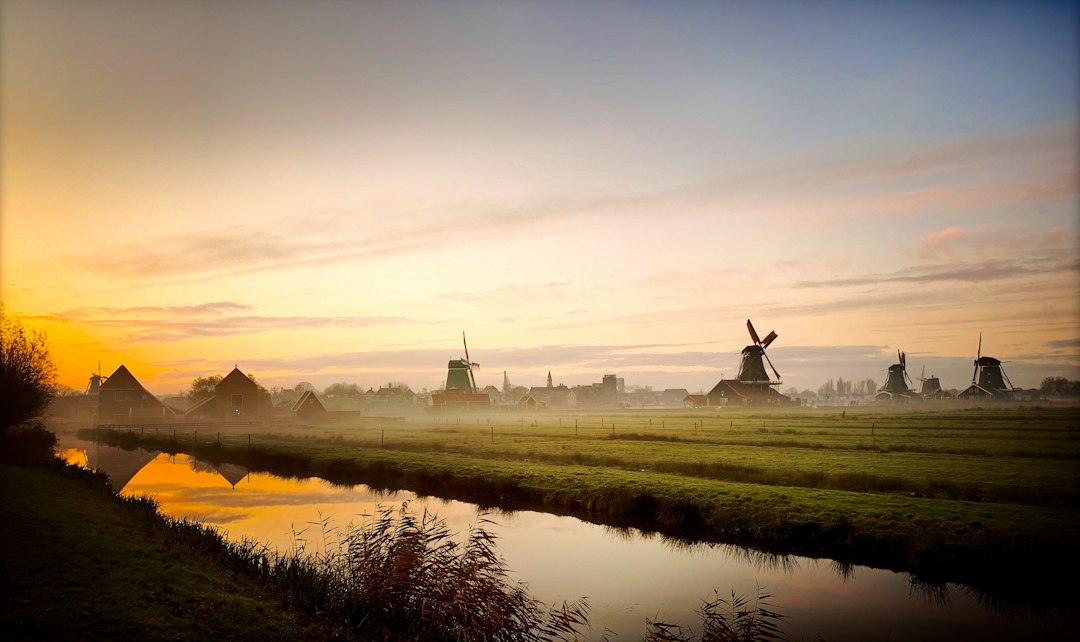 Molens bij de Zaanse Schans in de avondmist